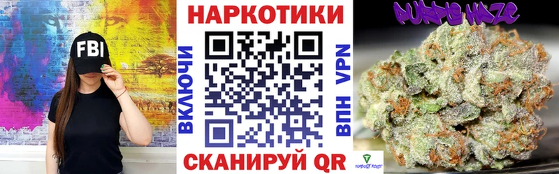 APVP Саратов