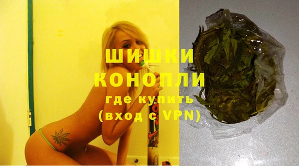 ГАЛЛЮЦИНОГЕННЫЕ ГРИБЫ Баксан