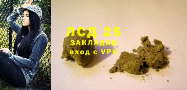 прущие грибы Аркадак
